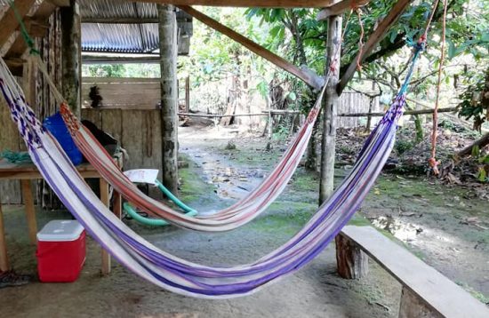 hammocks