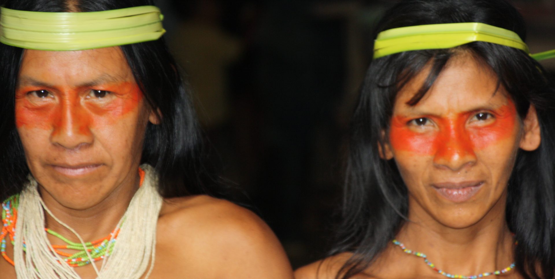 Yasuni National Park