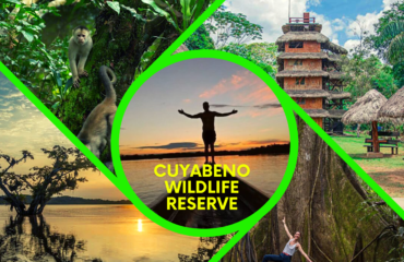 CUYABENO WILDLIFE RESERVE